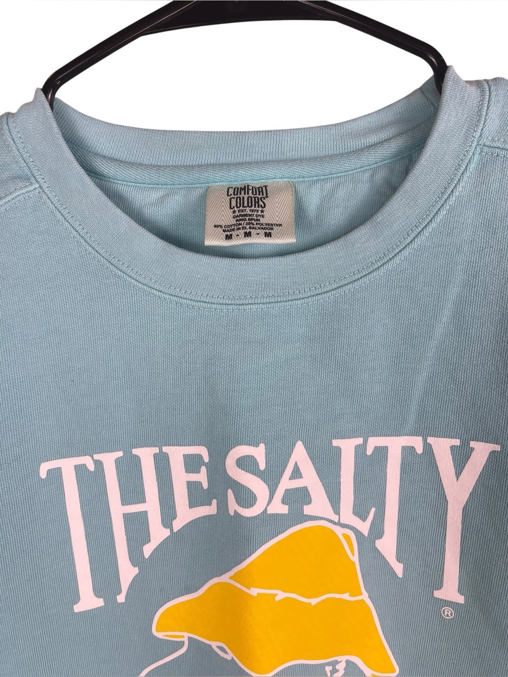 Comfort Colors The Salty Dog Cafe Chalky Mint Cotton Sweatshirt Medium - Picture 5 of 6